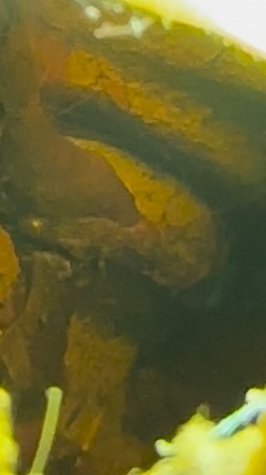 Clean your tip! | Farm 4 Life