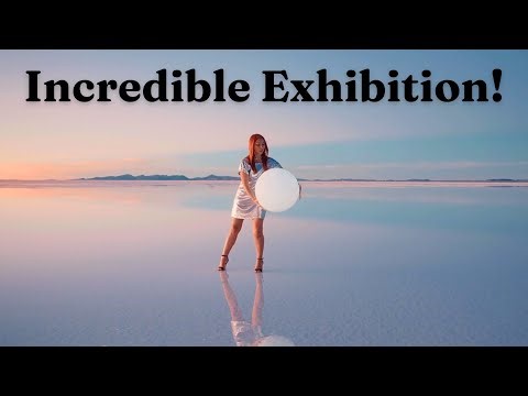 12 Surprising FACTS To Keep Your Next Conversation Going!