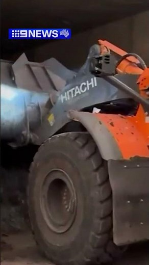 UQ researchers create world-first biodegradable strawberry punnet