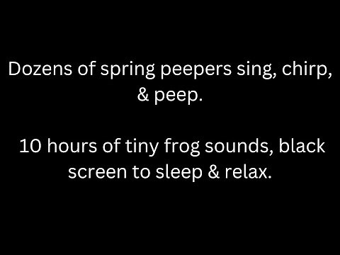 Dozens of spring peepers sing chirp & peep, 10 hours tiny frog sounds, black screen to sleep & relax