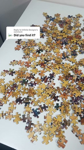 World's Largest Puzzle Challenge: Finding That Missing Piece