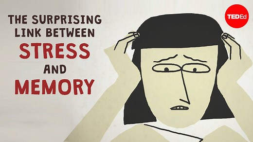 The complex relationship between stress and memory #StrengthNotStress: | TED-Ed