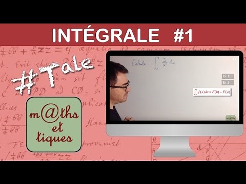 Calculate an integral (1) -Terminal