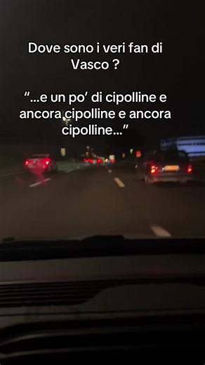 Video di Stefano Siracusa (@stefanosticchiost) con Alibi - Vasco Rossi