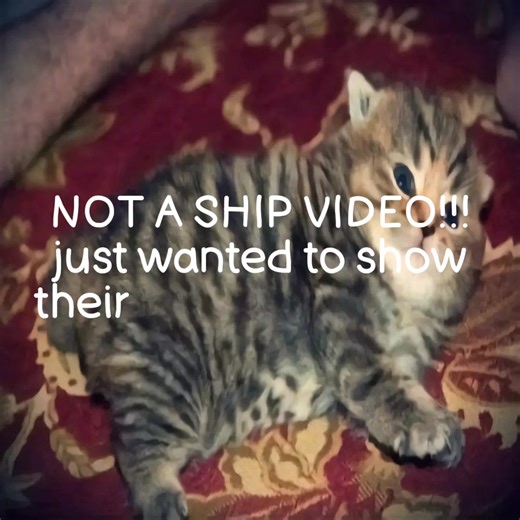 Miyuki and Hina: Visual Kei Style Breakdown