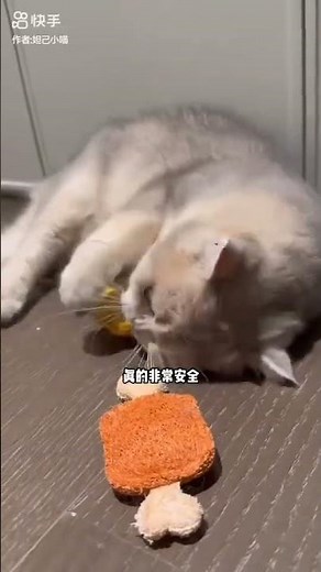 DIY Magic with Waste!Unbelievable Crafts from Waste Material "Creative Recycling! Part 3