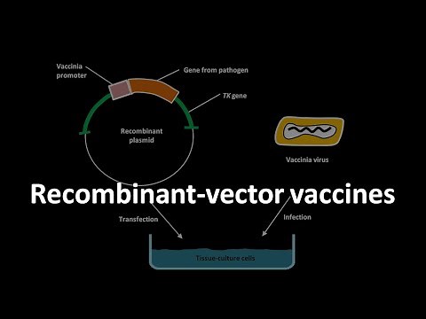 Recombinant vector vaccines