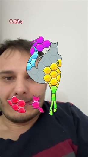 Kangaroo puzzle 🦘