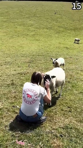 Quando sono felici di rivederti ❤️ | Gabriella Panizza