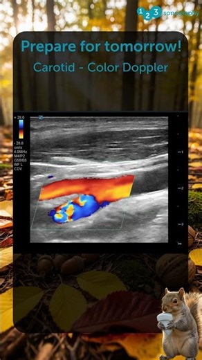 What is recirculation? 🦔🔍