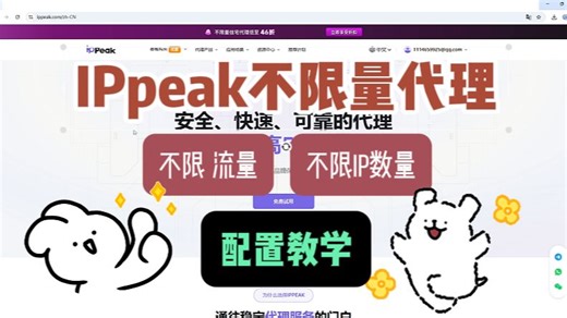 IPpeak不限量住宅代理配置教程，不限流量 不限IP数量 低至$109！