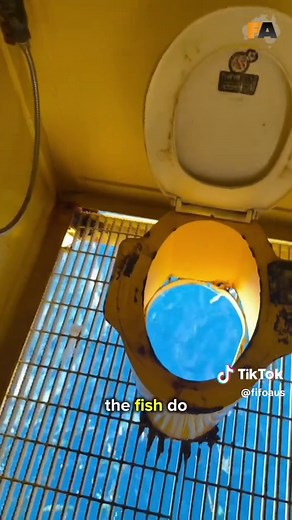Understanding FIFO Offshore Life: A Deep Dive