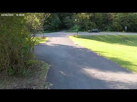 umx turbo timber today 9/9/25