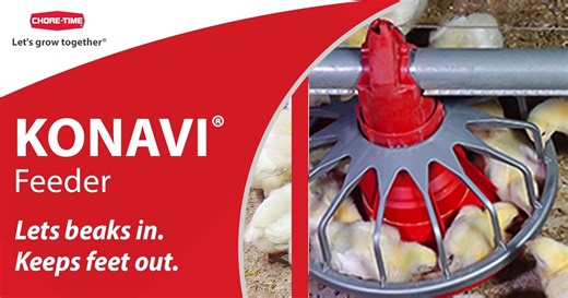 The KONAVI®️ Feeder from Chore-Time is built to let beaks in—but keep feet out. 🐤 With a low pan height and patented scalloped edge, chicks eat comfortably from the outside of the pan right from the start. Click here to see the KONAVI difference: https://www.choretime.com/product/konavi-feeder-for-broilers/ . . . #ChoreTime #PoultryProduction #SmartFeeding #BroilerEfficiency #FarmInnovation | Chore-Time, A Division of CTB, Inc.