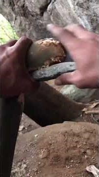 Ancient Flint Discovery: Unveiling Mysteries in the Stone Age