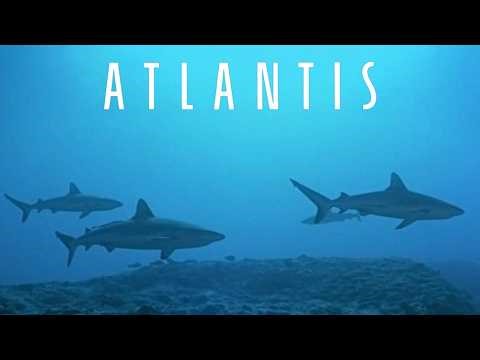 Atlantis (1991) | Mesmerizing Marine Life in 4K High Resolution