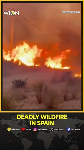 Wildfire In Spain: Deadly Wildfire Leaves 12 Dead In Almeria In Southern Spain | WION Shorts