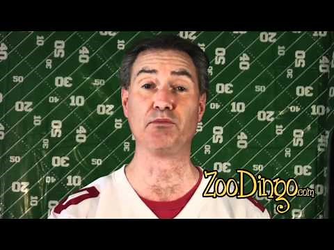 Doritos 2011 Super Bowl commercial pug dog revenge