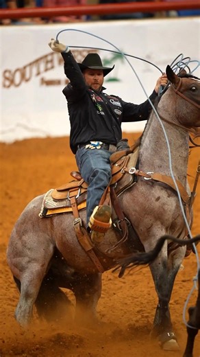 Joseph Harrison was unstoppable at the American Rope Horse Futurity. He and Nu One Time Blues BROUGHT IT to take home the 4 Year Old Heeling Championship and $25,000! Congrats! #BluebonnetProRider #JosephHarrison #feedwithoutexcuses #teamroping #heelinghorses #arhfa