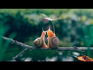 Life in the Undergrowth - 01 - Invasion of the Land | David Attenborough Documentary