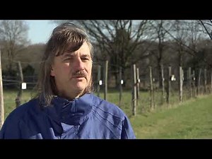 Der NABU sorgt für den Erhalt alter Obstsorten und genetischer Vielfalt