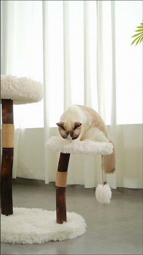 3 Cat Tree Styles For 3 Different Homes 🏡