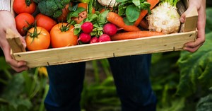 Option I - Circular Food: Towards regenerative practices in the agri-food sector · GreenFutures