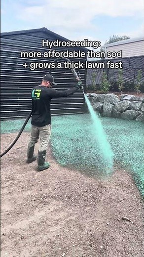 Hydroseeding is better than SOD