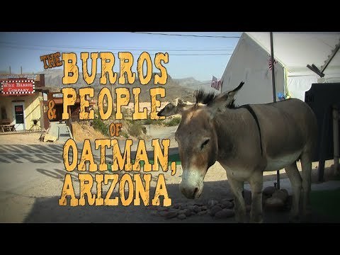 The Burros & People of Oatman, Arizona