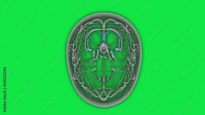 3d Animation of dopamine and serotonin release from the nervous system into the brain causing a chemical reaction. Digital Brain. 3D of thinking process. Brain System. Future technology. 3d render