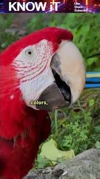 10 Animal Intelligence Feats That Will Make You Rethink Biology