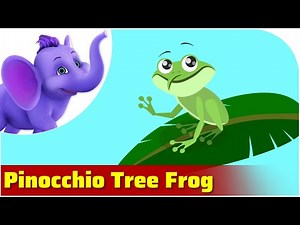 Pinocchio Tree Frog / Weird Animal Songs / Appu Series