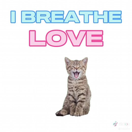 Funny Cat Video Compilation | Silly Cats Animation | Meme Compilation