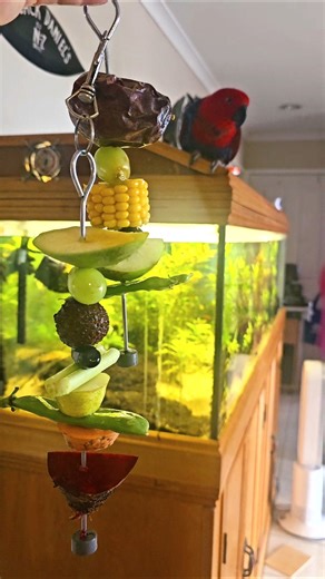 Thanks for the breakfast mum