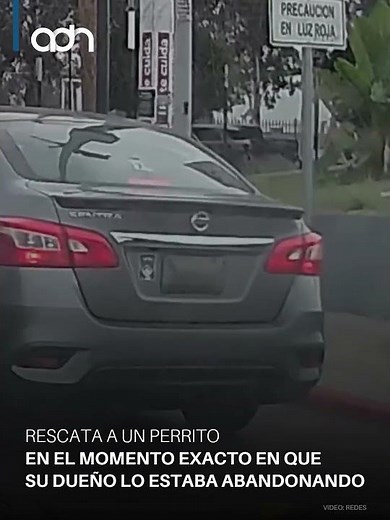 Caught on camera: Helpless dog rescued, sparking outrage over how it was abandoned.
