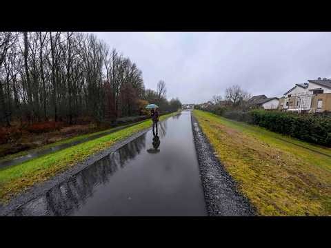 Windy Rainy Day Walk 🌧️ Riverside near Bonn | Natural Ambient ASMR 4K