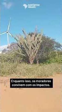 Maior complexo eólico da América do Sul foi instalado sem consulta a quilombo no Piauí