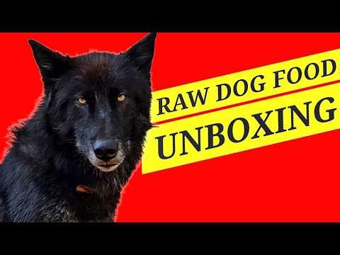 RAW DOG FOOD UNBOXING - A Special Gift From a Subscriber! 🎁🐺