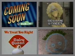 PTV Park Program Break (1996 WNEO)