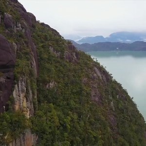 3.2K views · 315 reactions | Today, on International Environment Day,...