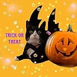 Cat Bat Wings Cat Bat Costume Cats Halloween Costumes Cute Bats Wings for Cats Kitten Halloween Costume Kitten Bats Wing Pet Halloweens Dress Up Accessories,White S