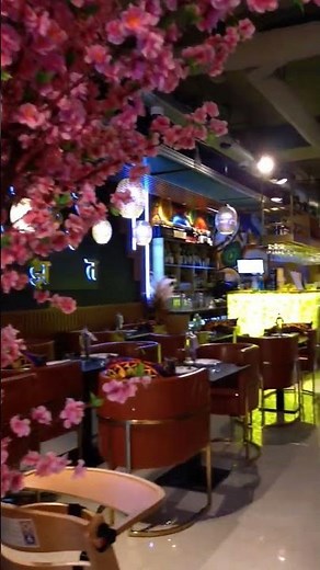 Is this the PRETTIEST Indian Restaurant in Den Haag? 🇮🇳 Atithi Review