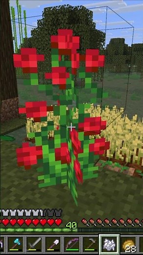 So vermehrt ihr große Blumen in Minecraft