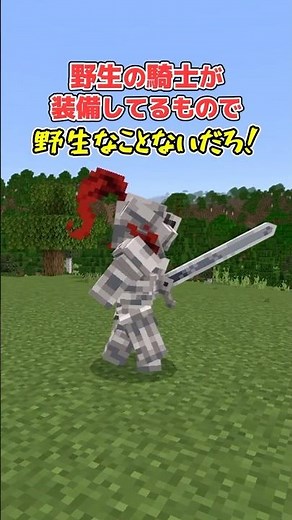 【アドオン紹介】これが本格派ファンタジー【統合版マイクラ】