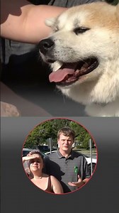 Navy veteran and wife win city waiver to rescue dog given no chance of survival