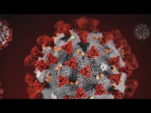 Virus rebound and reinfection