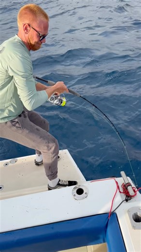 The Howk Special one on a MONSTER! See description for information