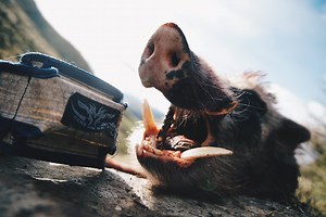 Have you seen our new Revolution rip collars......? Protect your dog and your tracking gear - your T5 and more specifically the TT15 Garmin tracking collars fit straight up against your dog's neck. This allows the shock/vibrate and bark indication to work perfectly. NZ made and like all Game Gear stuff designed by pig hunters for pig hunters! | Game Gear