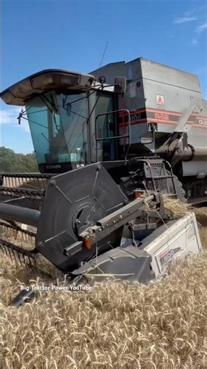 GLEANER R62 Combine V8 Engine #bigtractorpower #agco