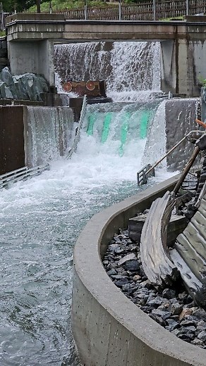 2.3K views | Splish Splash at Tusenfryd! | Coaster Crew | Facebook